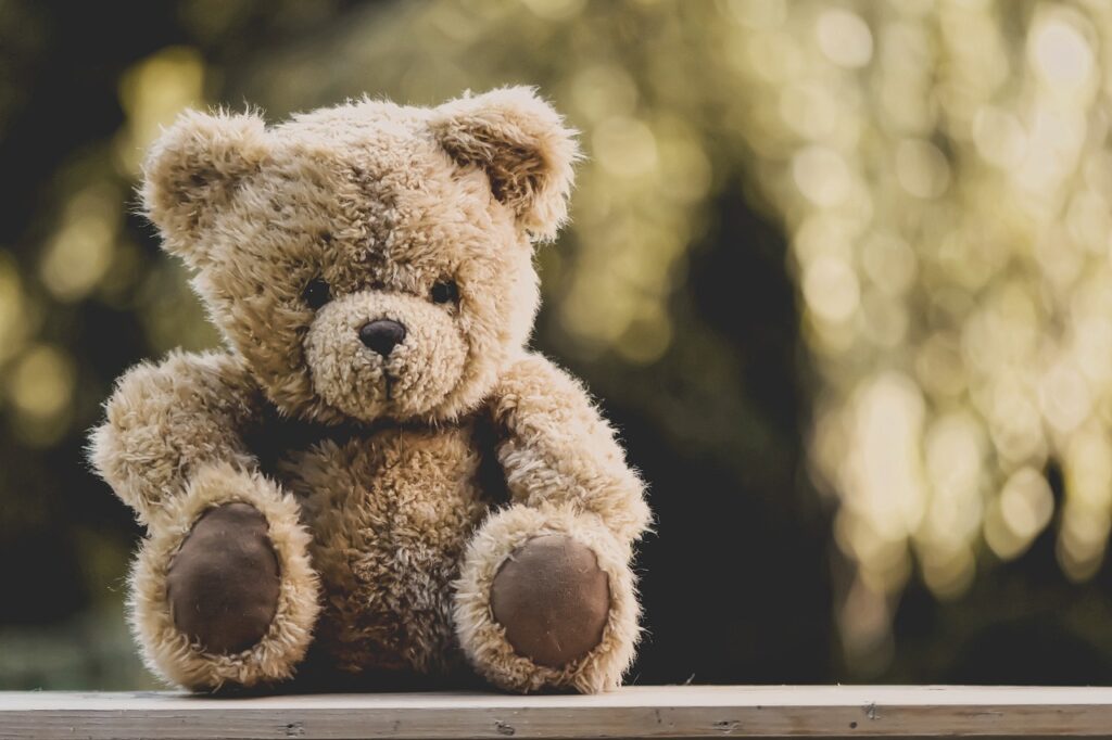 teddy, stuffed animal, fun-5207189.jpg