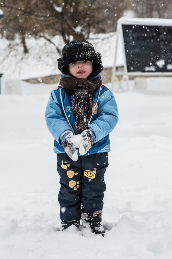 winter, snow, the snow falls-3016304.jpg